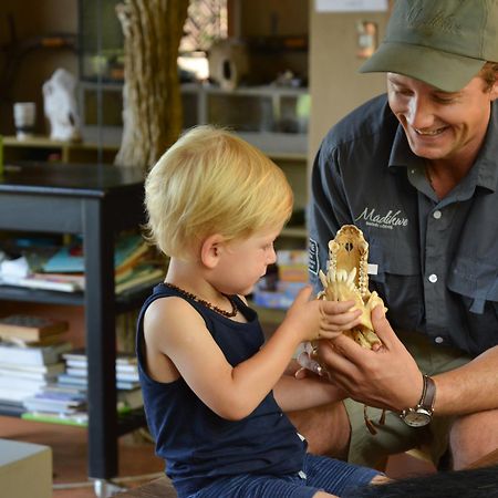 Madikwe Safari Lodge Madikwe Game Reserve Εξωτερικό φωτογραφία