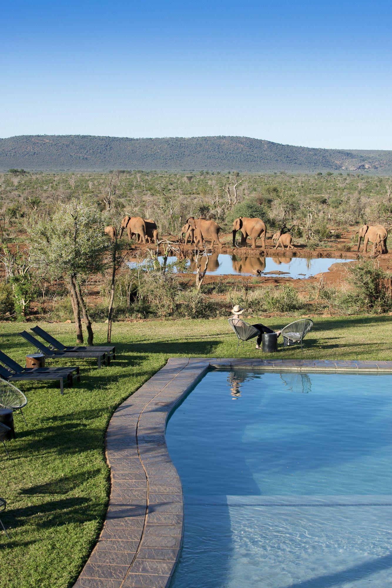 Madikwe Safari Lodge Madikwe Game Reserve Εξωτερικό φωτογραφία