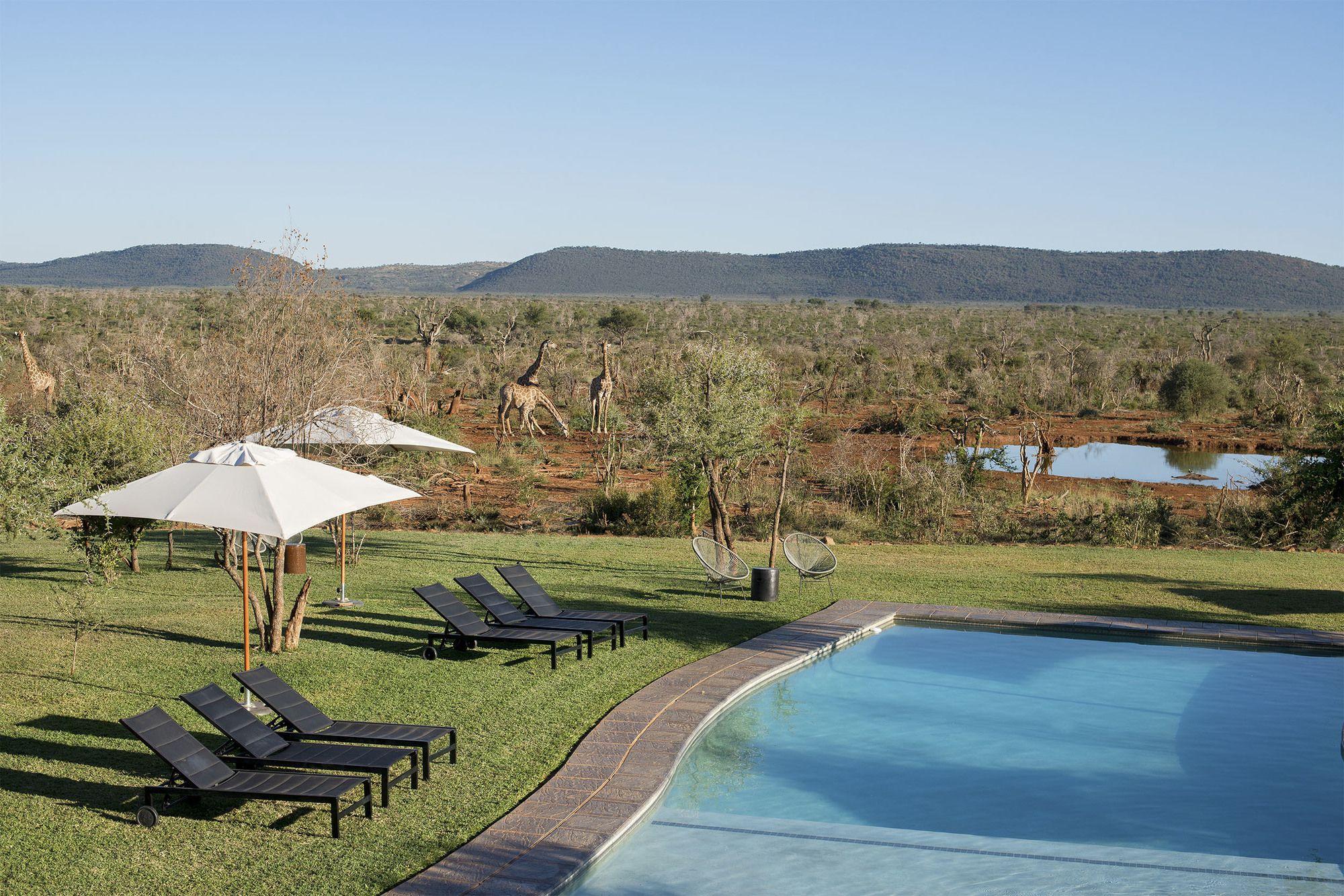 Madikwe Safari Lodge Madikwe Game Reserve Εξωτερικό φωτογραφία