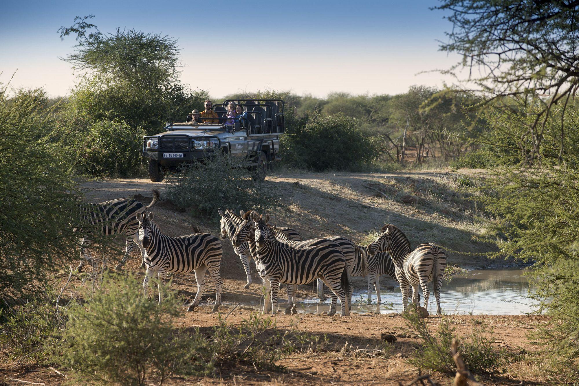 Madikwe Safari Lodge Madikwe Game Reserve Εξωτερικό φωτογραφία