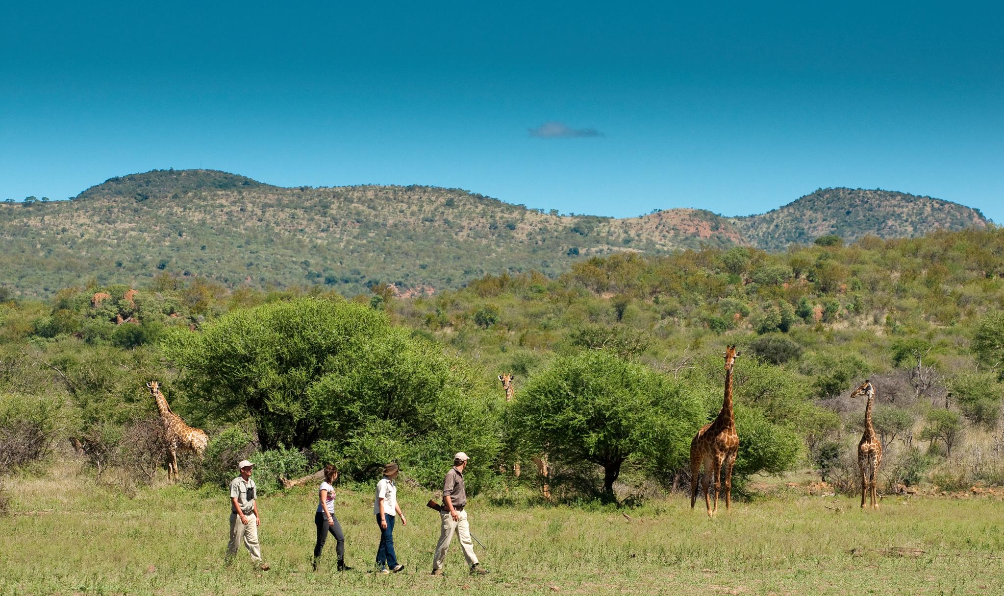 Madikwe Safari Lodge Madikwe Game Reserve Εξωτερικό φωτογραφία