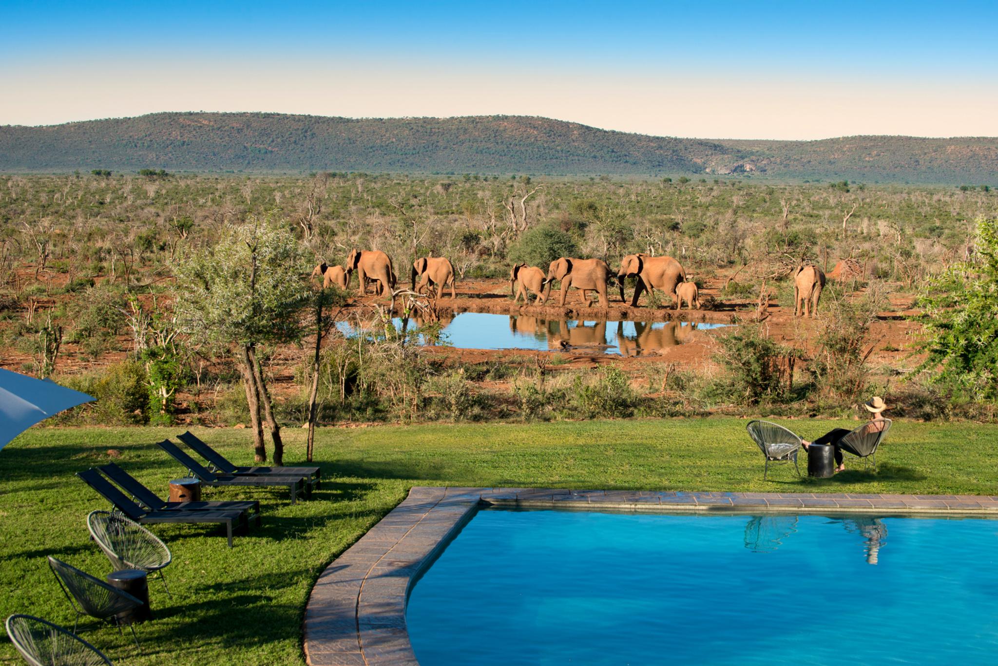 Madikwe Safari Lodge Madikwe Game Reserve Εξωτερικό φωτογραφία